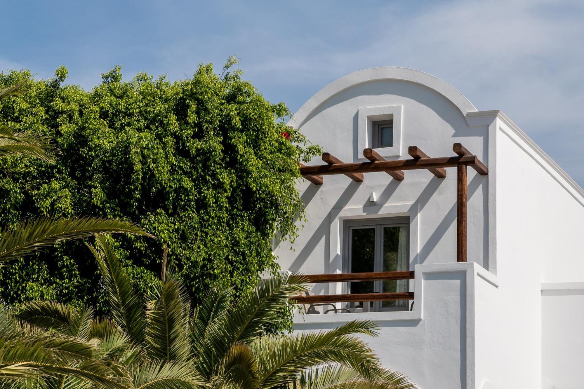 Strogili - Adults Only 4*